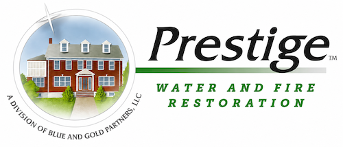 Sullivan, Dennis – Property Restoration